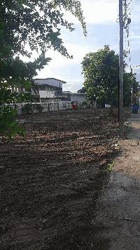 ขายที่ดินเปล่า 198 ตร.ว. ทำเลทอง ติดถนน ต.หนองตำลึง อ.พานทอง จ.ชลบุรี โทร 0953157555